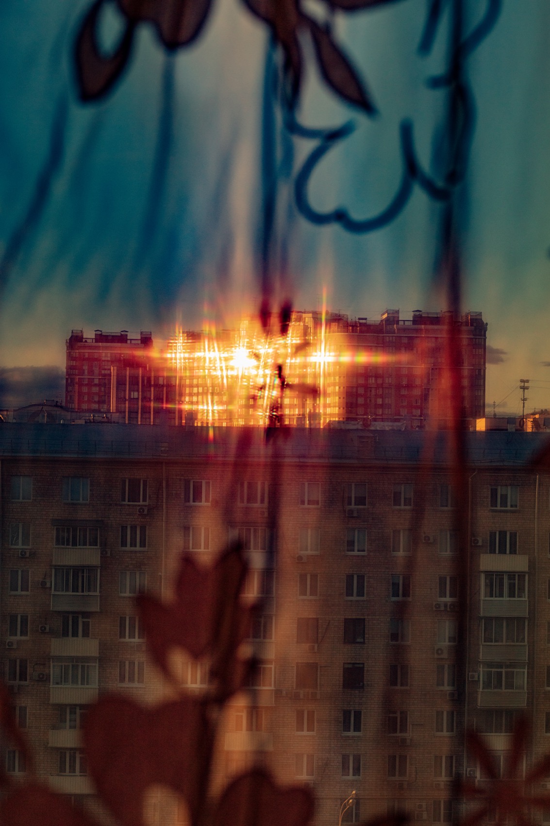 Арсений Несходимов. Safety Cards III. 60x90