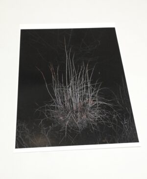 Александр Бондарь. Untitled VI. 29х36