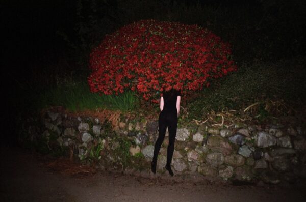 Елена Холкина, Untitled II, 23х32