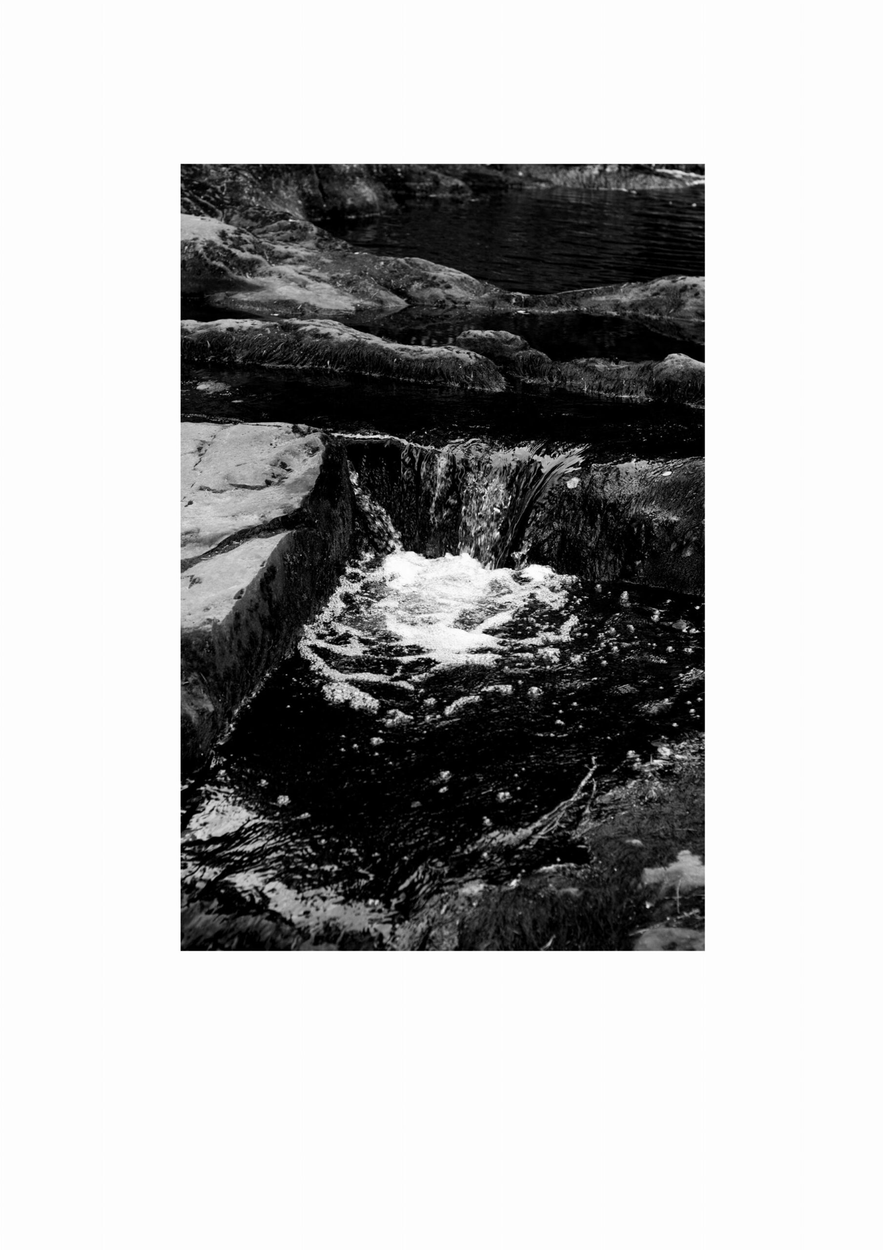 Кристина Сергеева. Как Саша Литвинов ружье закопал VII. 20х30