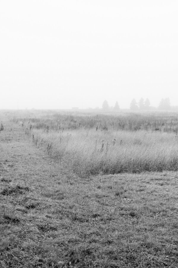 Кристина Сергеева. Shunya VI. 30x40