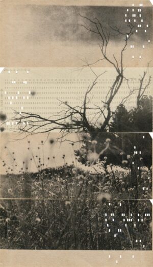 Виталий Северов. Memories of Future VII. 18,7x32,8