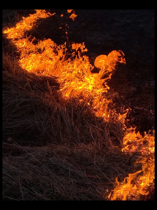 Слава Савченко. Untitled III. 30x40