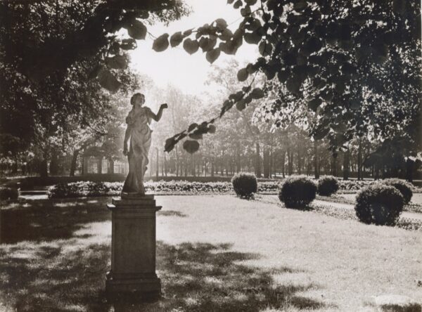 Станислав Чабуткин. Петергоф. Нижний парк, 30x40