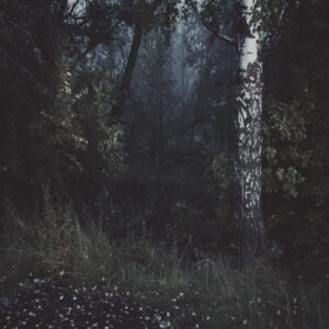 Станислав Марков. Untitled II. 50x50