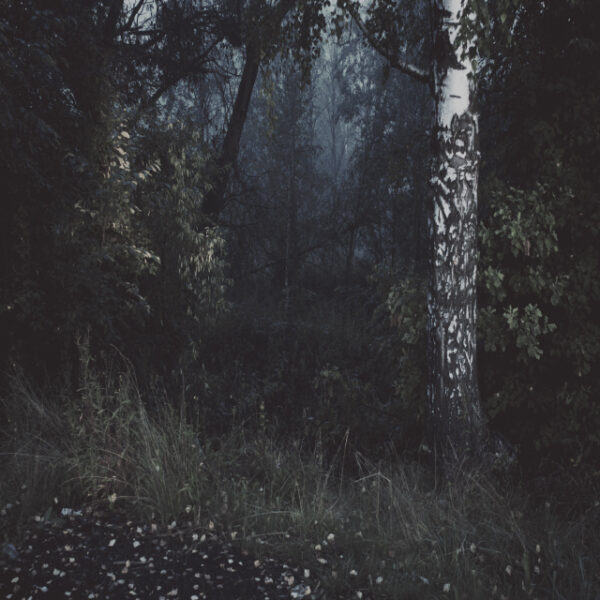 Станислав Марков. Untitled II. 50x50