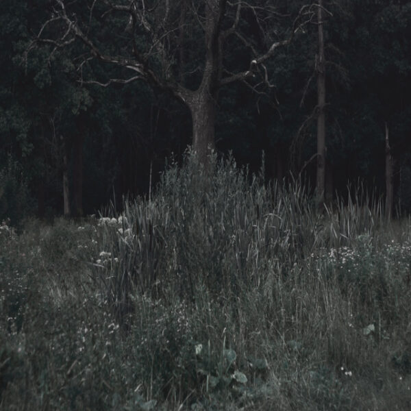 Станислав Марков. Untitled V. 90x90