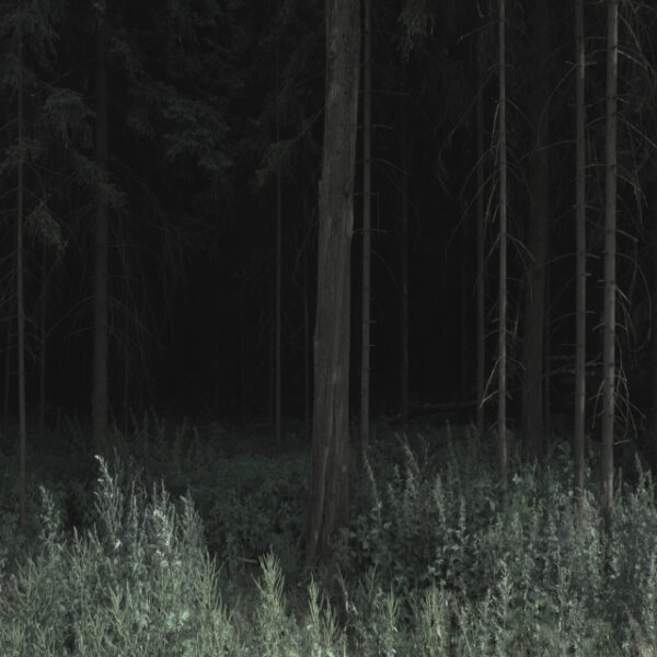 Станислав Марков. Untitled IV. 90x90