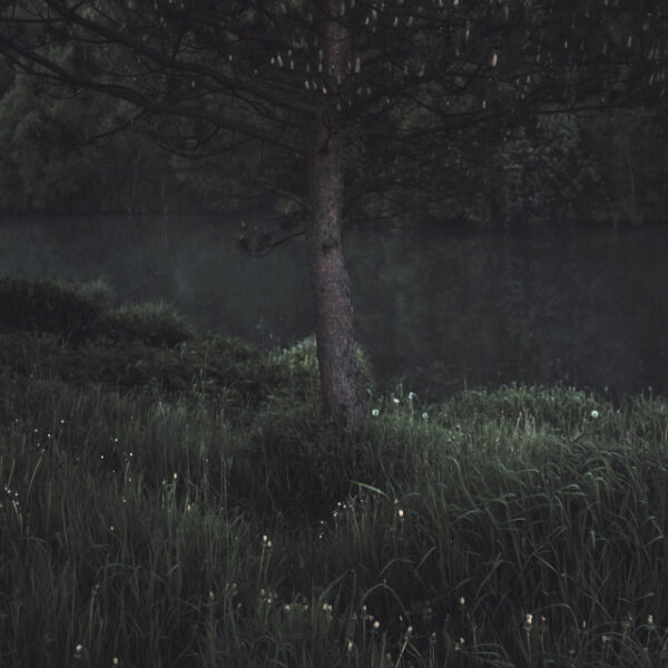 Станислав Марков. Untitled I. 50x50