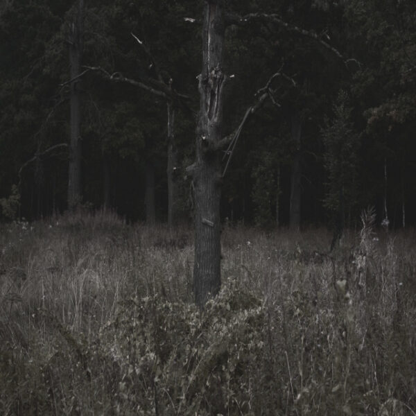 Станислав Марков. Untitled VI. 90x90