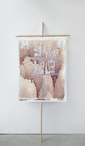 Анастасия Вострецова. Surface N 04