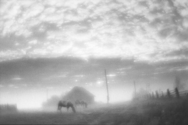 Людмила Таболина. Рассвет, 1999. 30х40