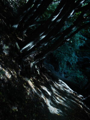 Анастасия Тайлакова. Untitled V. 30x40