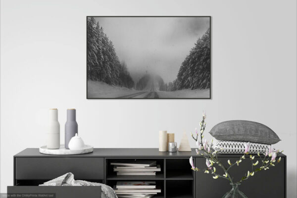 Федор Телков. Дорога в Коми-Пермяцком округе. 53x80