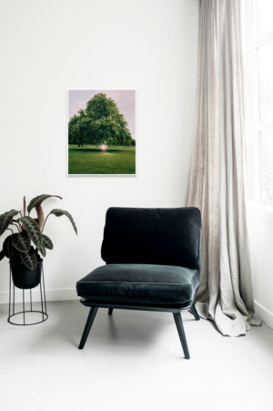 Катя Туркина Фасо. Sleeping Alice IV. 40x60