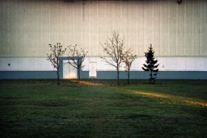 Михаил Протасевич. В поле зрения окраин V. 30х40