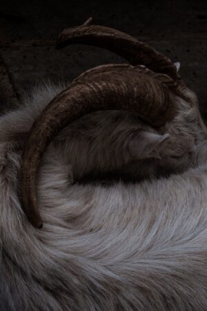 Дмитрий Васильев. Demarcation I. 30x45