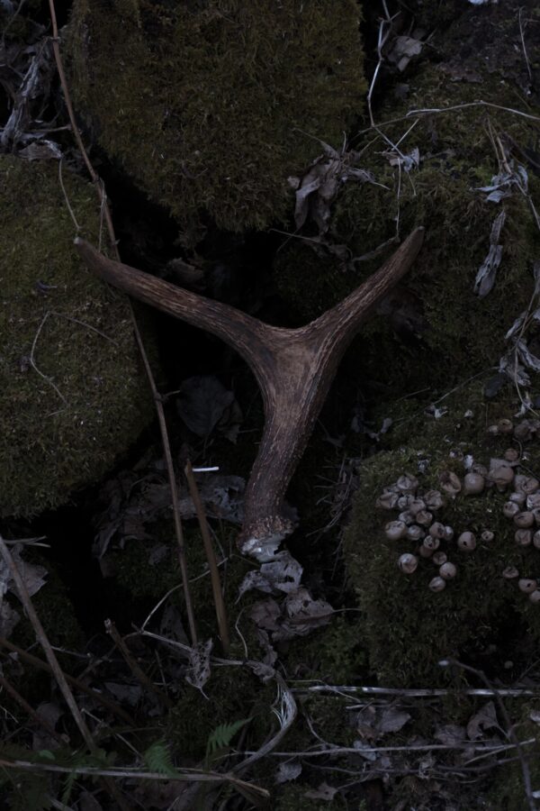 Дмитрий Васильев. Demarcation VII. 40x60