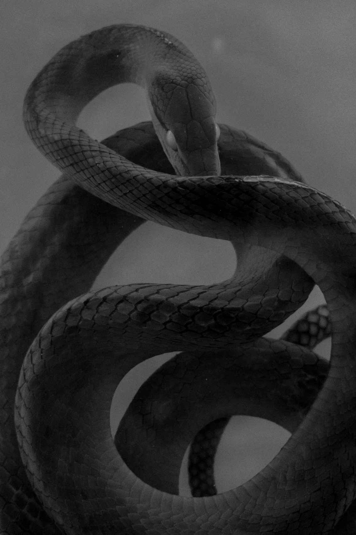 Дмитрий Васильев. Demarcation IX. 40x60