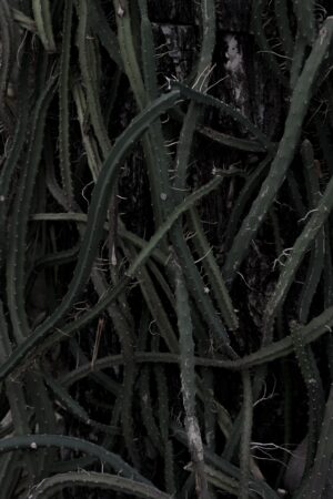 Дмитрий Васильев. Demarcation X. 40x60