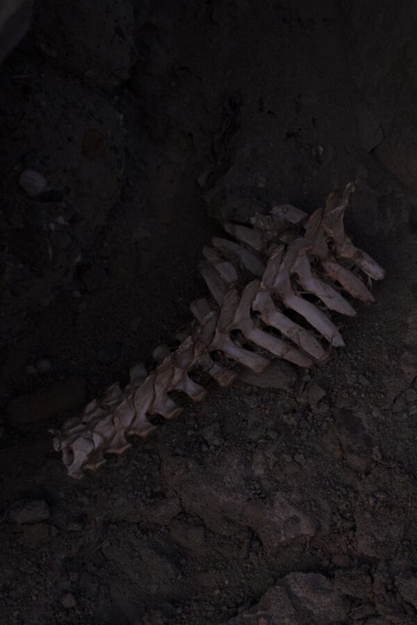 Дмитрий Васильев. Demarcation XII. 30x45