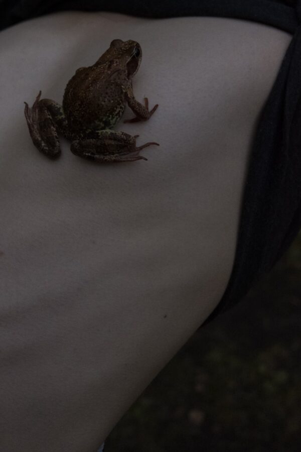 Дмитрий Васильев. Demarcation XIV. 30x45