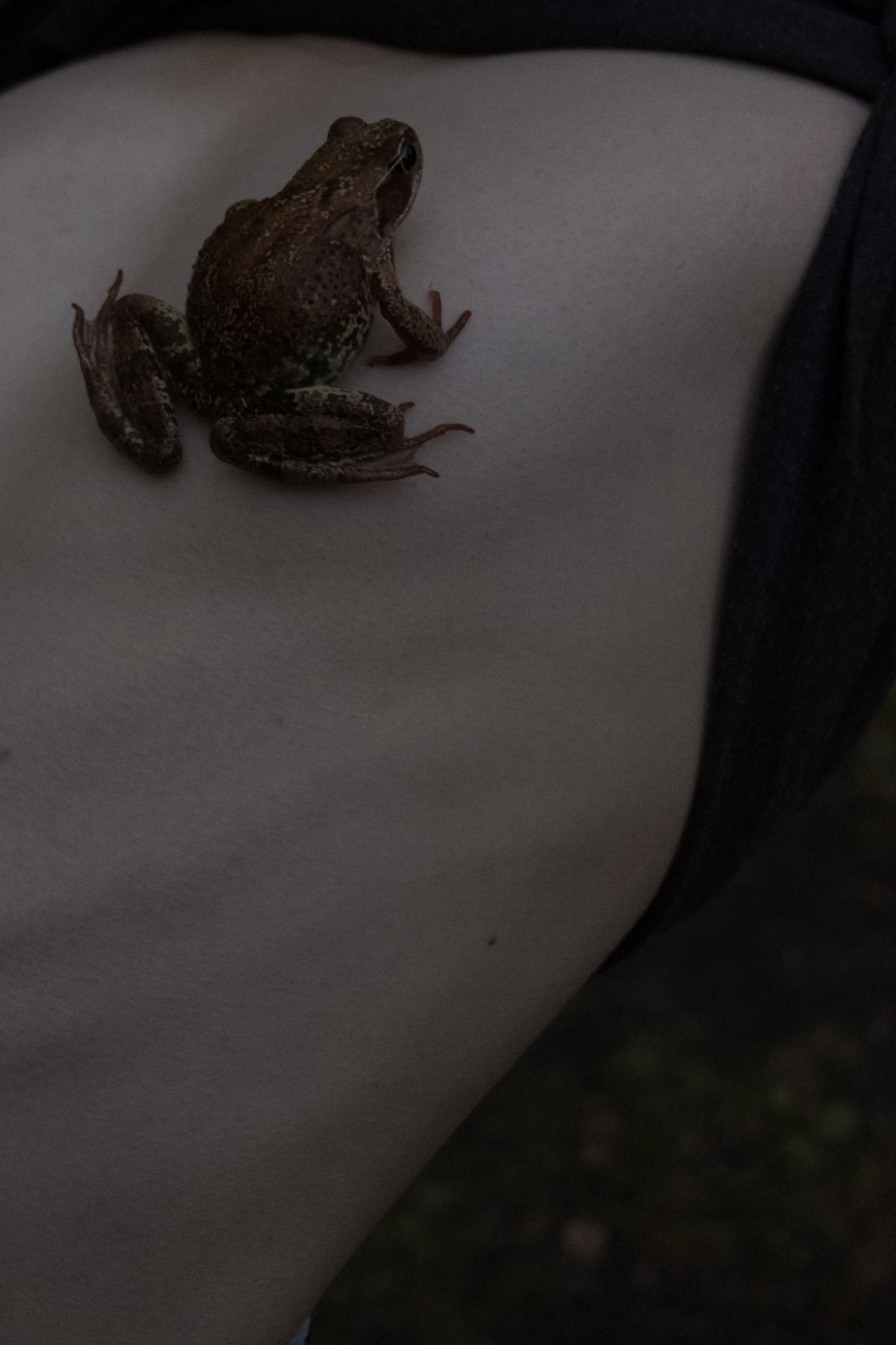 Дмитрий Васильев. Demarcation XIV. 30x45