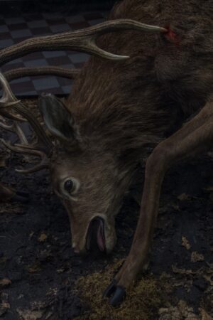 Дмитрий Васильев. Demarcation XV. 40x60