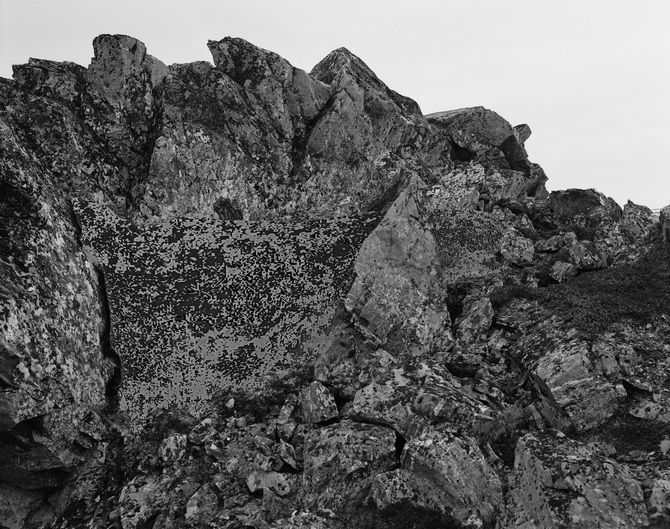 Александр Веревкин. Intervention II. 47х60