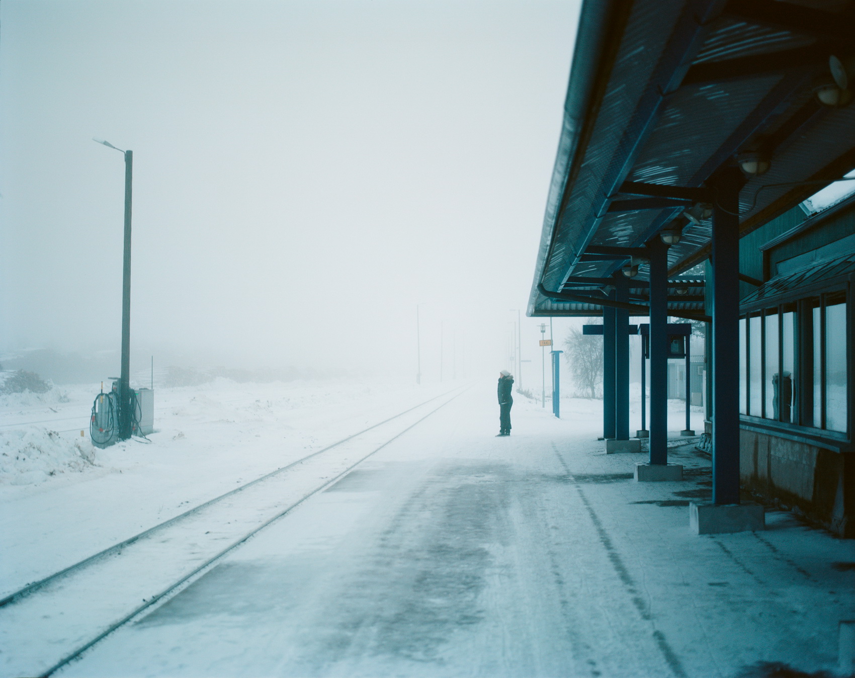 Александр Веревкин. Колари II. 40х50