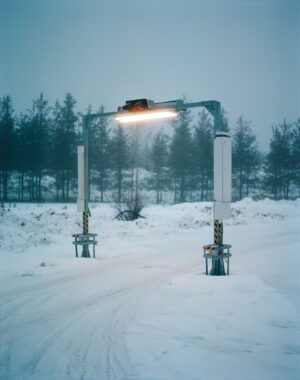 Александр Веревкин. Колари I. 40х50