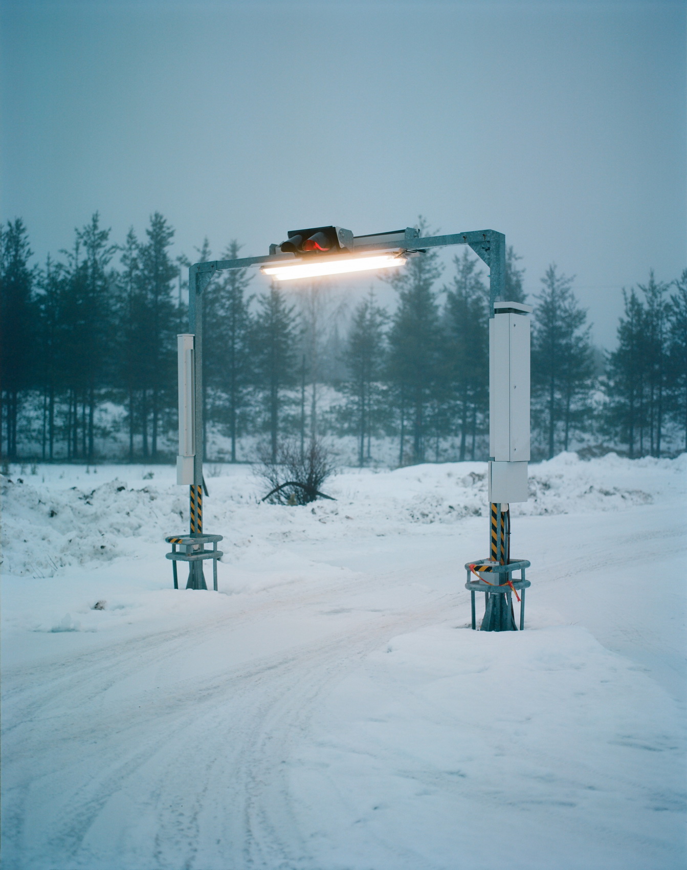 Александр Веревкин. Колари I. 40х50