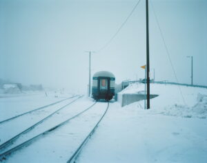 Александр Веревкин. Колари III. 40х50