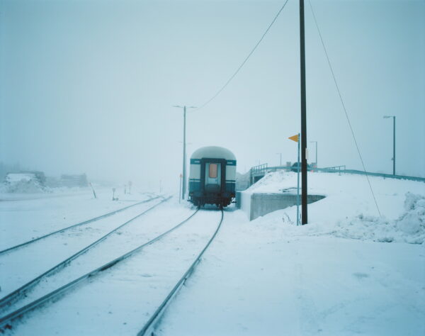 Александр Веревкин. Колари III. 40х50