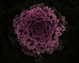 Александр Веревкин. Связь с Орионом I. 50х70