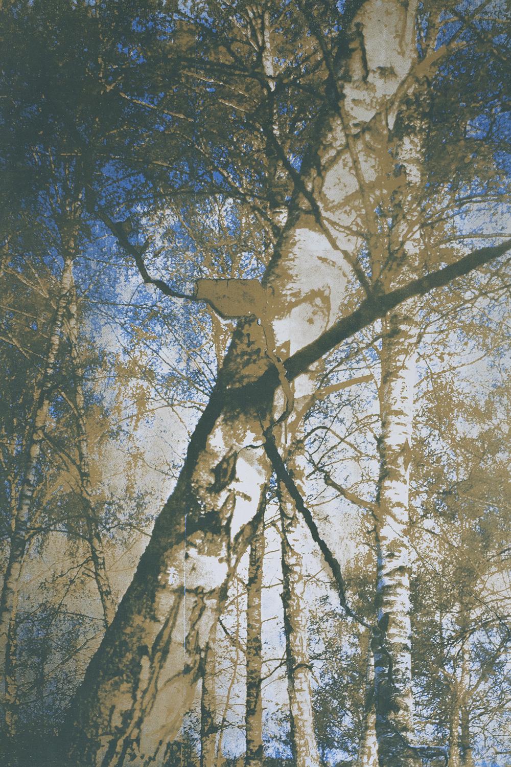 Катя Янова. "Говорят, вселенная всегда звучит, но мы её не слышим, потому что рождены в ней" II, 55x80 — изображение 6