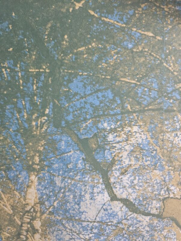 Катя Янова. 