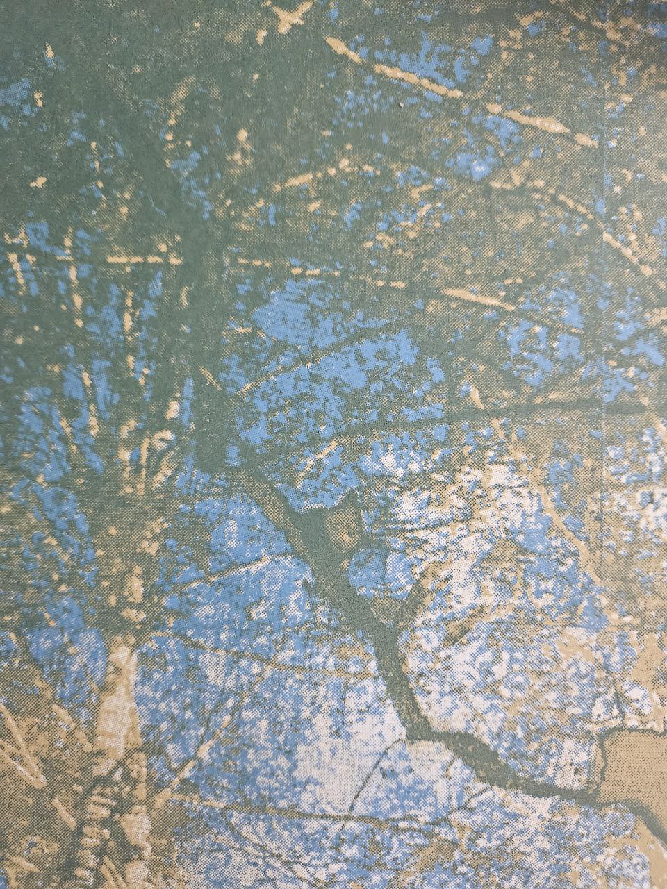 Катя Янова. "Говорят, вселенная всегда звучит, но мы её не слышим, потому что рождены в ней" II, 55x80 — изображение 2