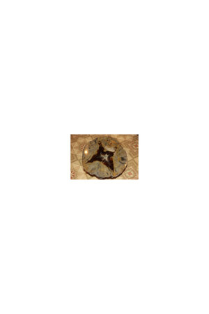 Юрий Гудков. Magnificent 04, 30x40